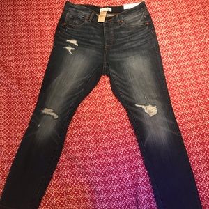 Jeans- Loft distressed curvy skinny -8P NWT